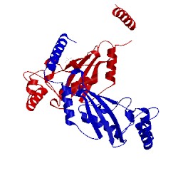 Image of CATH 3o2u