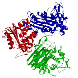 Image of CATH 3o3v