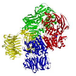 Image of CATH 3o4h