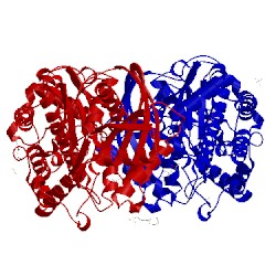 Image of CATH 3o4w