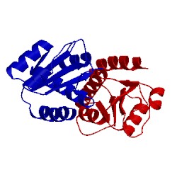 Image of CATH 3o85