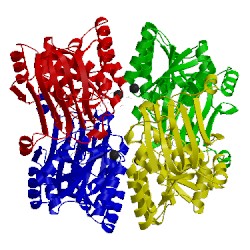 Image of CATH 3o9z