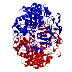 Image of CATH 3oa5