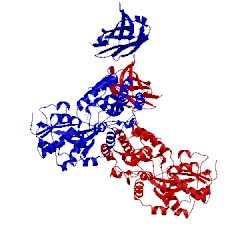 Image of CATH 3oai