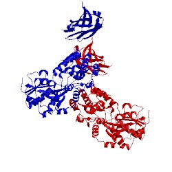 Image of CATH 3oai