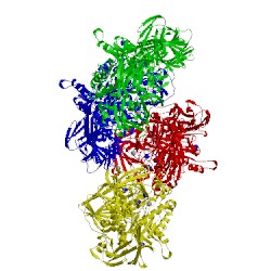Image of CATH 3ob8