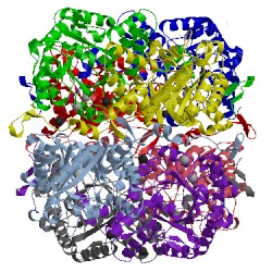 Image of CATH 3obk