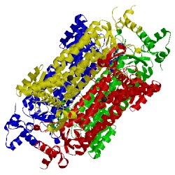 Image of CATH 3ocf