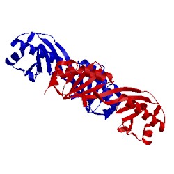 Image of CATH 3oci