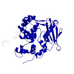 Image of CATH 3ogd