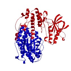Image of CATH 3oht