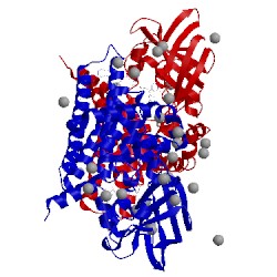 Image of CATH 3oib