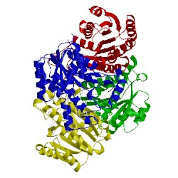 Image of CATH 3oif