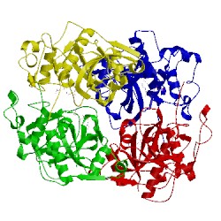 Image of CATH 3ois