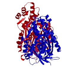 Image of CATH 3oit