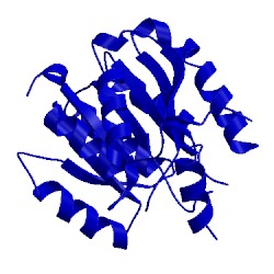 Image of CATH 3oje