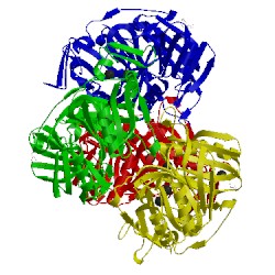 Image of CATH 3ojj
