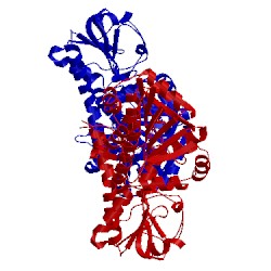Image of CATH 3ojl