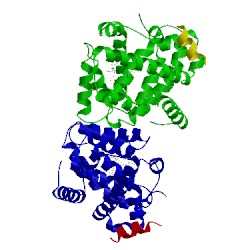 Image of CATH 3oki