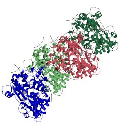 Image of CATH 3ol7
