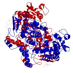 Image of CATH 3olt