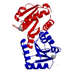 Image of CATH 3olv