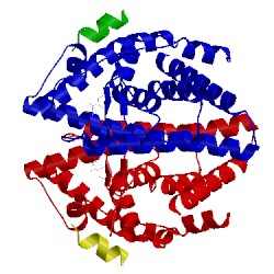 Image of CATH 3omp