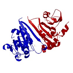 Image of CATH 3on3