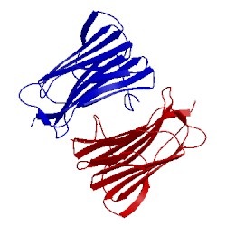 Image of CATH 3on9