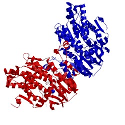Image of CATH 3one