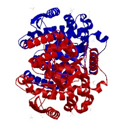 Image of CATH 3ooa