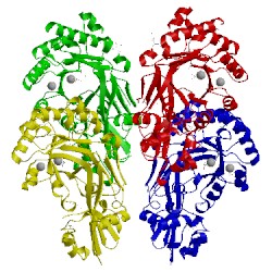 Image of CATH 3ops