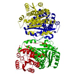 Image of CATH 3oq1