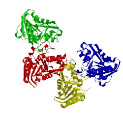 Image of CATH 3orh