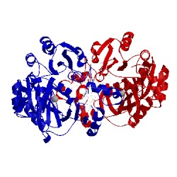 Image of CATH 3orq