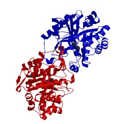 Image of CATH 3orw