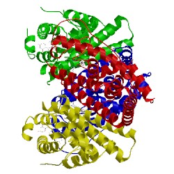 Image of CATH 3os9