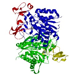 Image of CATH 3osl