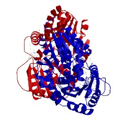 Image of CATH 3oth