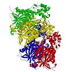Image of CATH 3ov3
