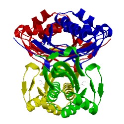 Image of CATH 3oxa