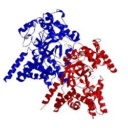 Image of CATH 3oxf