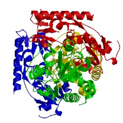 Image of CATH 3oxn