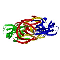 Image of CATH 3oxx