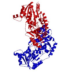 Image of CATH 3oy2