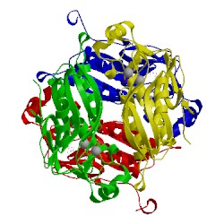Image of CATH 3ozf
