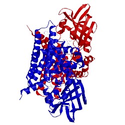 Image of CATH 3p4t