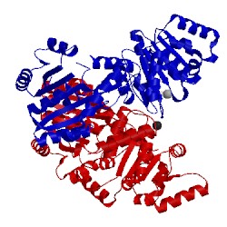 Image of CATH 3p4x