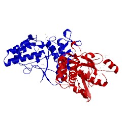 Image of CATH 3pam