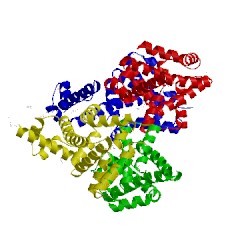 Image of CATH 3pas